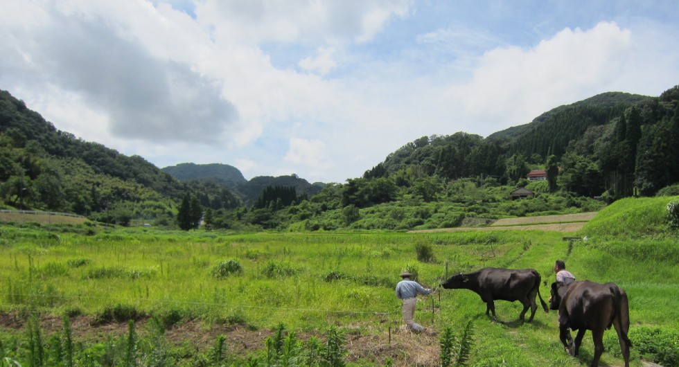 みくす風景2