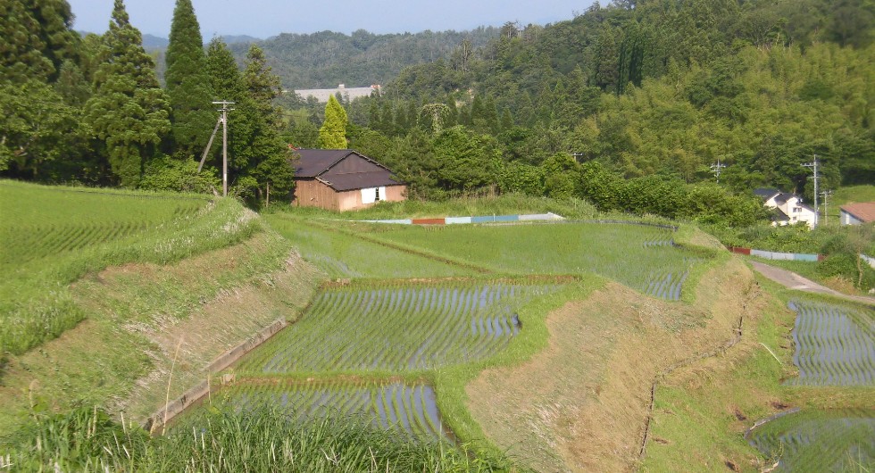 みくす風景3