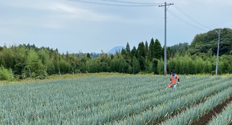 みくす風景4